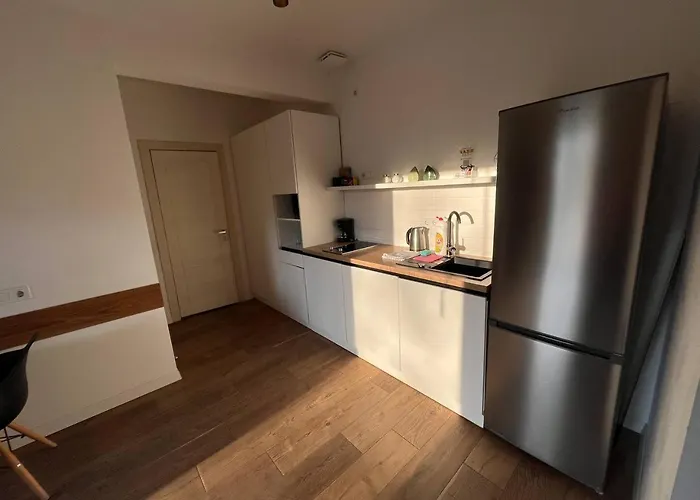 River House 公寓 拉泽希纳