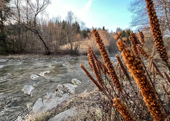 River House Apartman Mezőhát